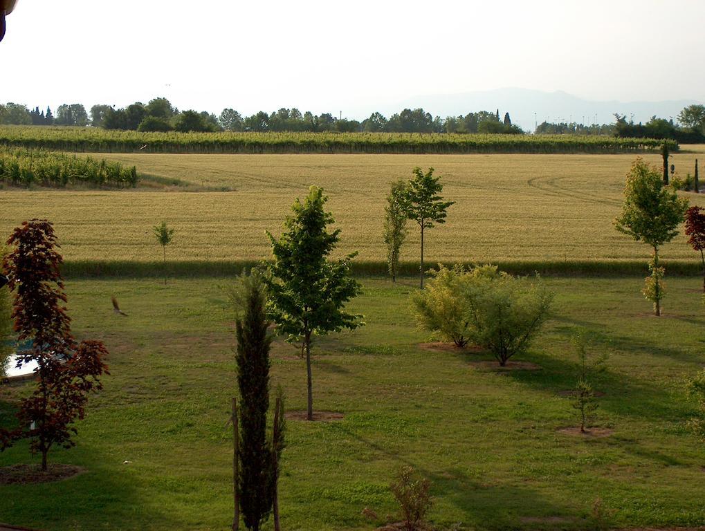 Agriturismo Le Fornase Villa Castelnuovo del Garda Eksteriør billede